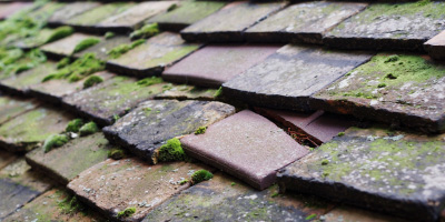 Manea roof repair costs